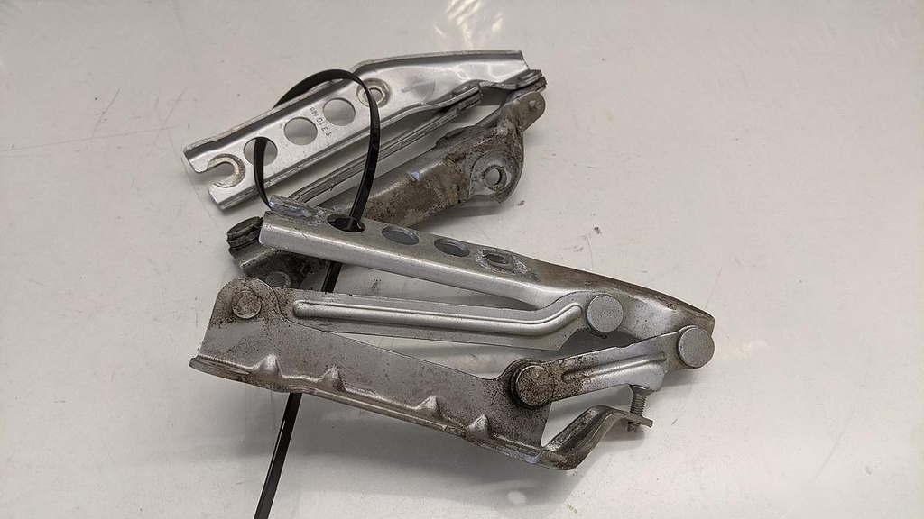 PXL_20230510_090819961.jpg