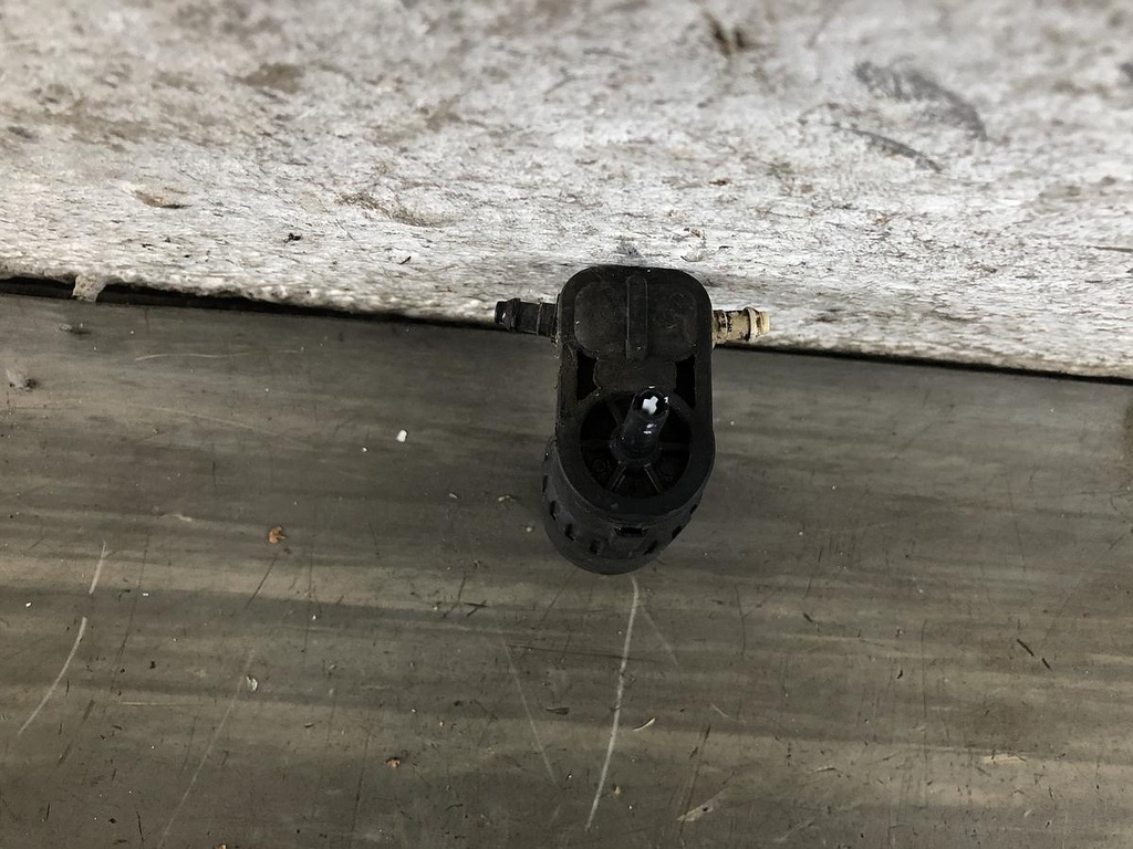 IMG_8631.JPG
