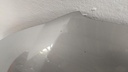 PXL_20230612_105552156.jpg