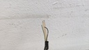 PXL_20230811_075611855.jpg