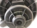 IMG_4765.JPG