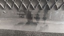 PXL_20230824_064455046.jpg
