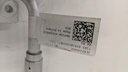 PXL_20240131_143036402.jpg