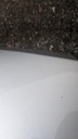 PXL_20240409_111227441.jpg