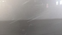 PXL_20240419_094843162.jpg