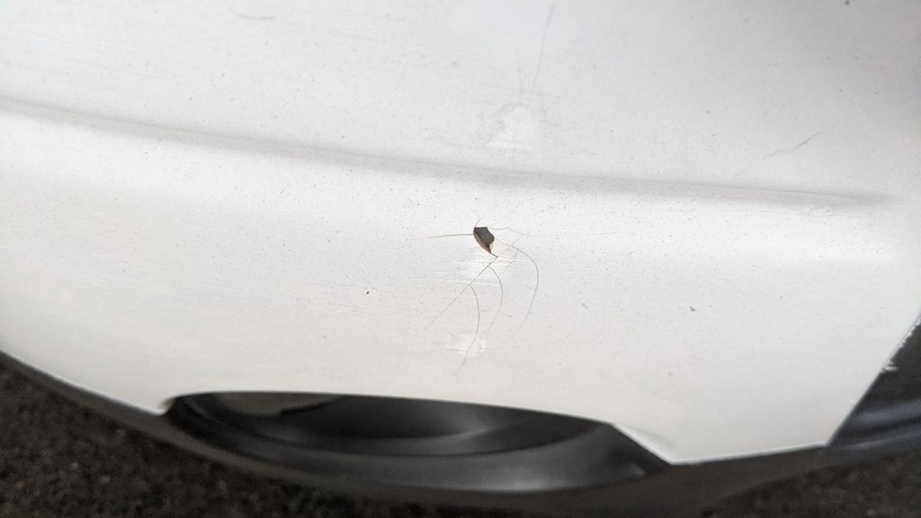 PXL_20240515_121818693.jpg