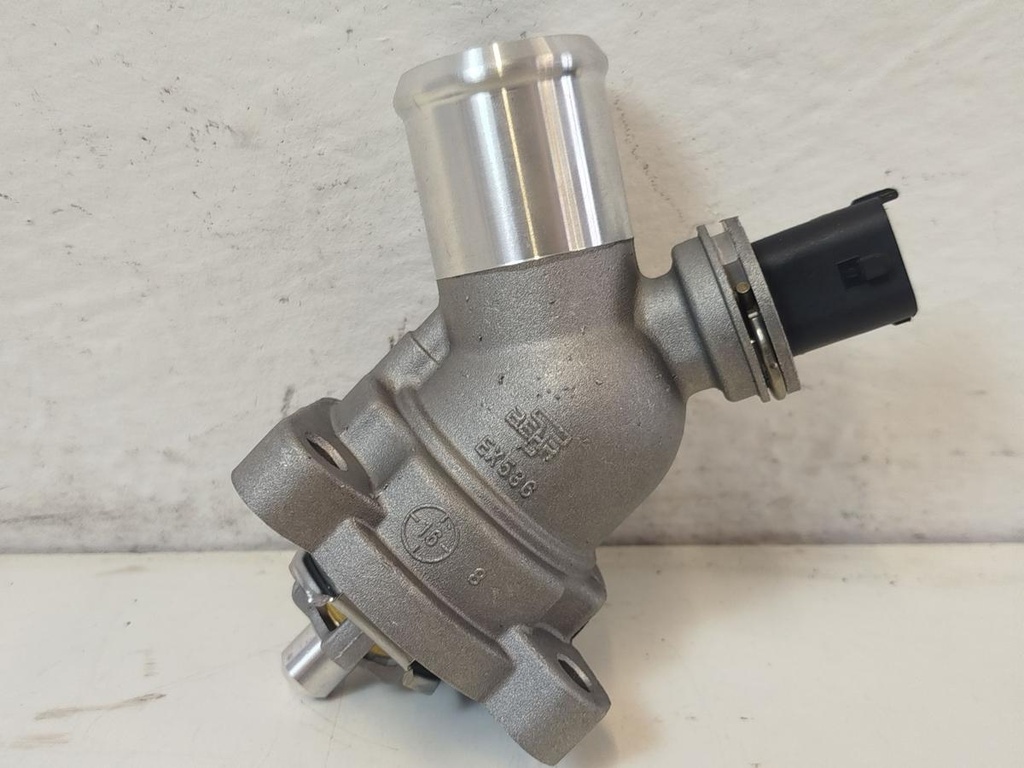 IMG_20260324_145419.jpg